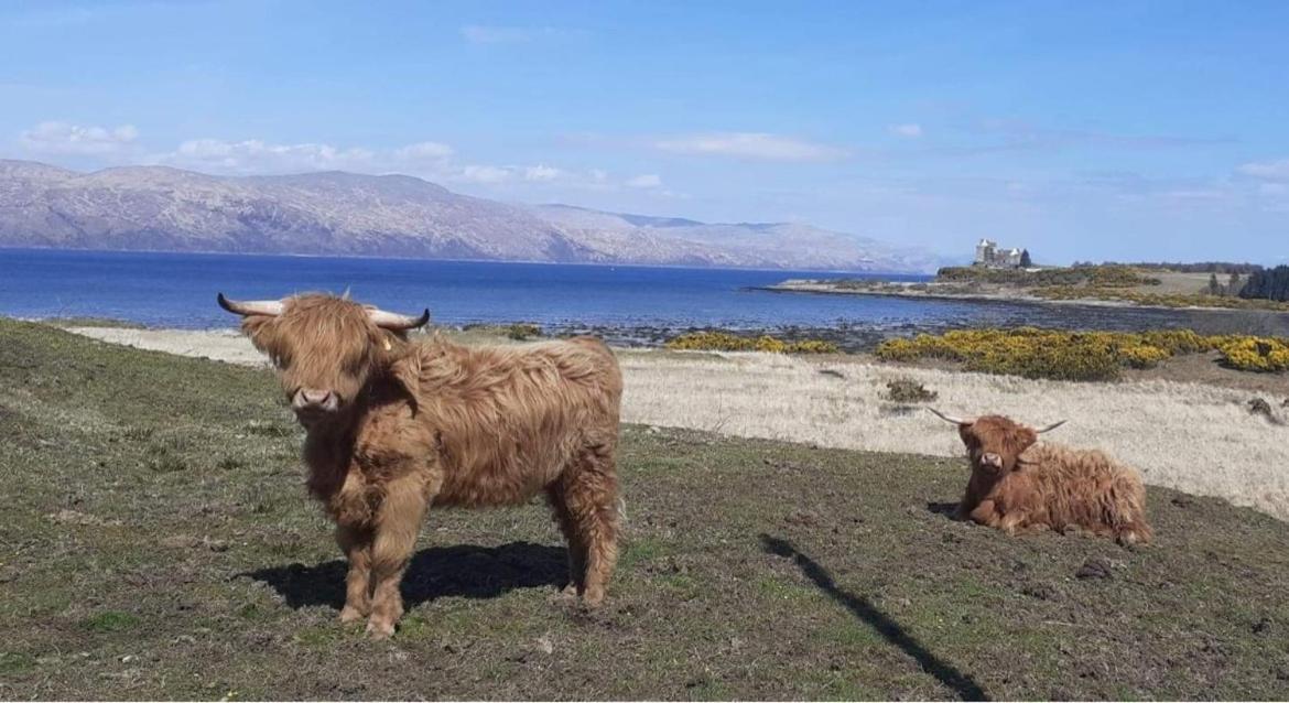 Ard Na Mara Self Catering Isle Of Mull Vila Dervaig Exterior foto